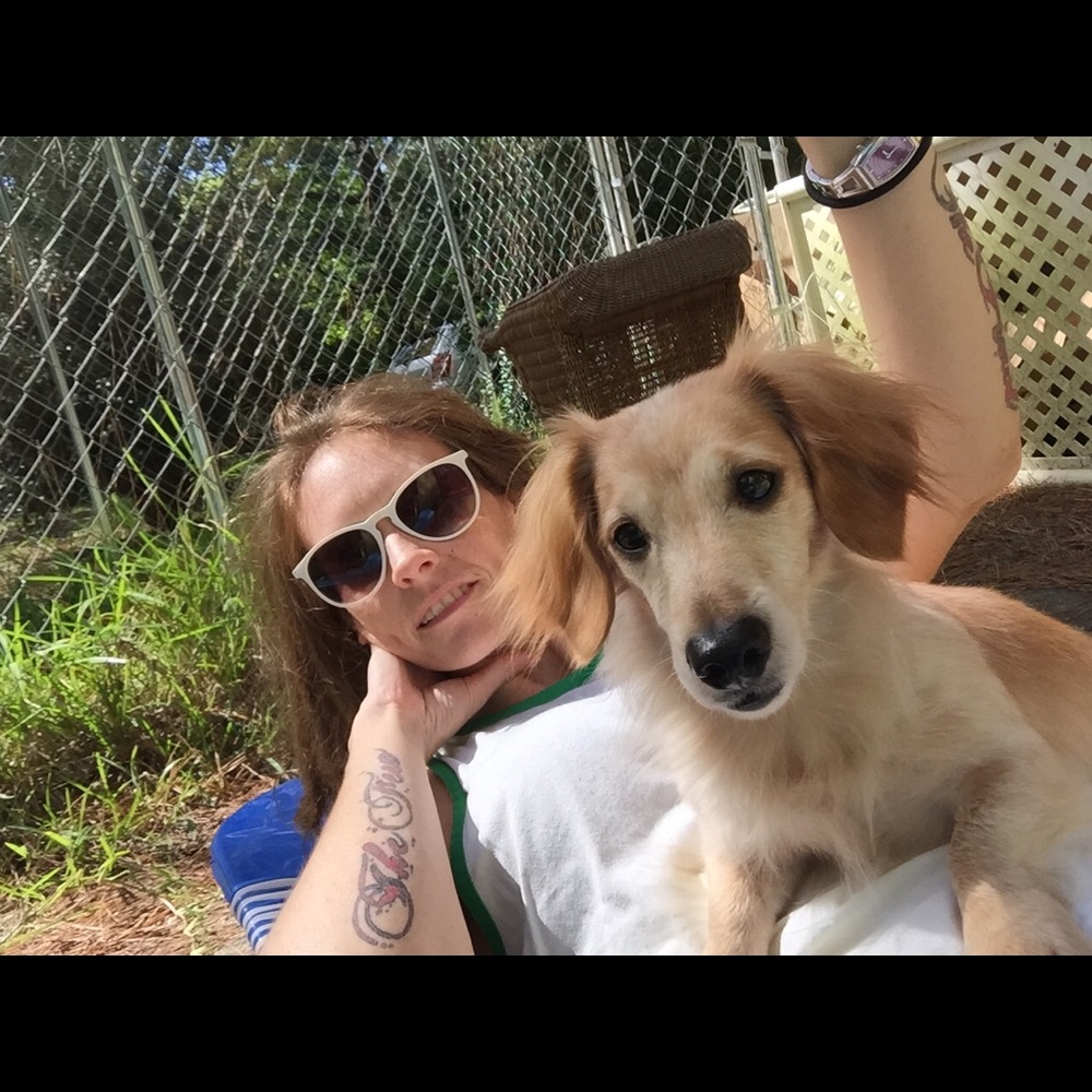 Meet, Robin ๐ฆ & Crash OโMalley โthe alley pupโ - Picture 5 of 6